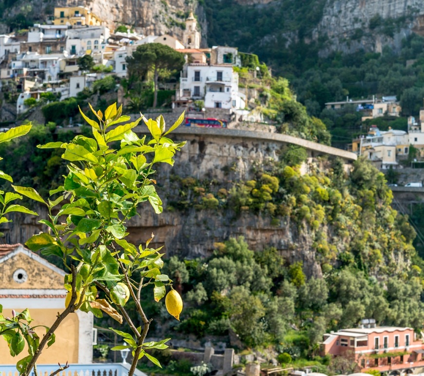 Lemon tree on Amalfi Coast